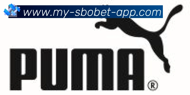 利记sbobet体育合作伙伴